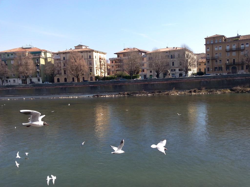 Ai Gabbiani Hotel Verona Buitenkant foto